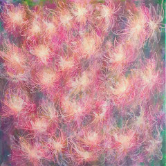 Zara - Acryl auf Leinwand - 50x50cm - VERKAUFT 