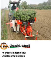 Setzmaschine Christbäume