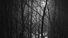 MATRON - Personnage qui apparait dans une cabane au fond des bois..