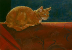 Poes Otje op de bank, o/a/p, 36x25cm, ntk