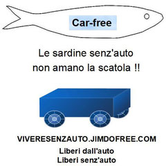 S18 - Sardine