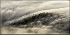 Photo: Y Lardy
