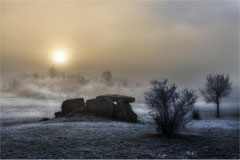 Photo: R Avard