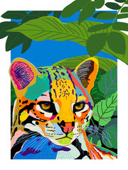 ocelote