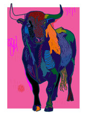 toro 1