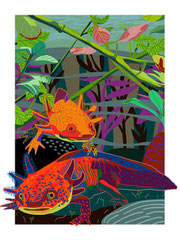 axolotl