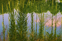 Fotoserie Münsterland, Fuestrup, copyright Nathalie Arun