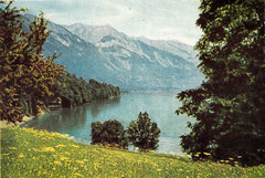 25 Brienzer See, Schweiz - Öl auf Malplatte, 50x70cm (04.1964) - Auftrag nach obigen Foto - verkauft