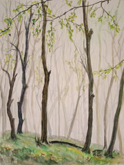 078 Wald im Morgennebel - Aquarell, 32x24cm (05.2012) - nach einem Foto
