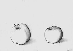 05 Apfel (Studie) - Bleistift, A4 (01.1965) - nach der Natur