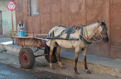 Pferdewagen, Trinidad, Cuba