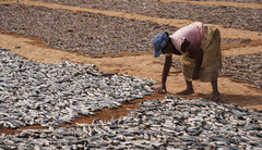 Negombo, Fischersfrau am Strand