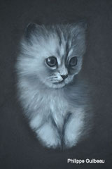Chaton