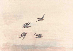 SCHWALBEN II.1.2  10X14,5 cm 90,-€