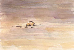 IM WASSER I  14,5X20 cm 105,-€