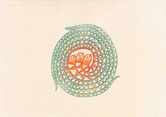 SCHLANGEN III 10X14,5 cm 90,-€