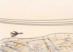 VOGEL (HOCHSPANNUNG) II.3 20X29 cm 165,-€