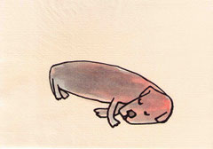 SCHLAF II   14,5X20 cm 105,-€