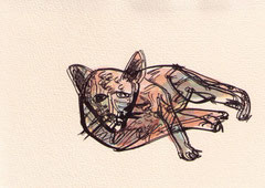 KATZE II   10X14,5 cm 90,-€