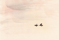 FLOW TOGETHER   14,5X20 cm 105,-€