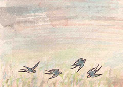 SCHWALBEN II.2.2  10X14,5 cm 90,-€