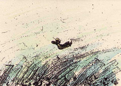 WEHR (ENTE) 20X29 cm 165,-€