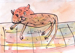 KATZE III  10X14,5 cm 90,-€