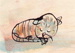 KATZE I   10X14,5 cm 90,-€