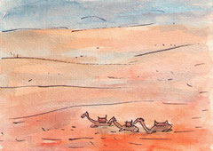WÜSTE   10X14,5 cm 90,-€