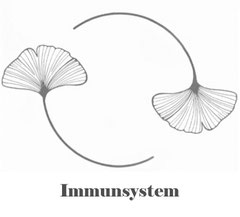 Immunsystem