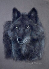 Schwarzwolf, Cecily Park 