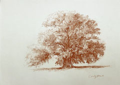 Cecily Park,