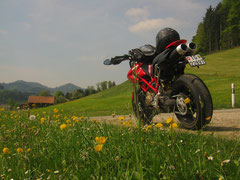 Ducati Hypermotard 1100; Eigentlich will ich leben, wieso fahre ich dieses Biest??