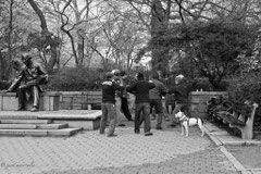 Taï Chi à Central Park