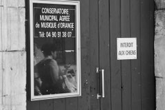 interdit aux chiens