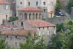Lama