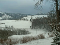 VUE DE LA COUR HIVER 2010