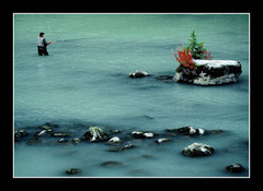 Chilkat River