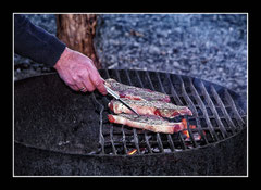 Alaskan Steaks