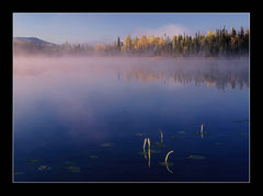 Morgenstimmung am Kluane Lake