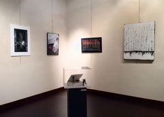 Museo del  Broletto  Novara