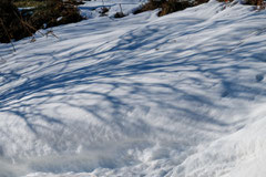 Bernard : Neige au col d'Arès