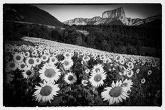 Caroline : Le mont Aiguille (Isère)