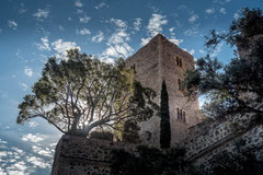 Francis : Chateau de Collioure