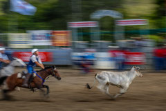 Francis : Rodeo Nouvelle Calédonie 2