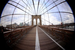 Frank : The Brooklyn Bridge , New York