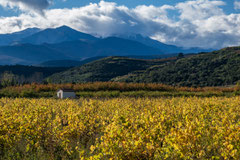 Caroline : Couleurs d'automne