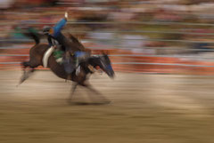 Francis : Rodeo Nouvelle Calédonie 1