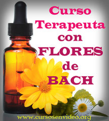 Terapeuta con FLORES de BACH