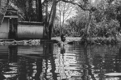 Bathing in the backwaters, Kainakeri village , Kerala, 2013
